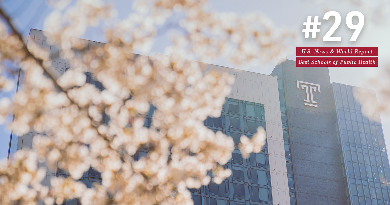 Text that reads "#29 U.S. News and World Report Best Schools of Public Health" is overlaid on top of a photo of Temple's Morgan Hall, visible behind a cherry blossom branch