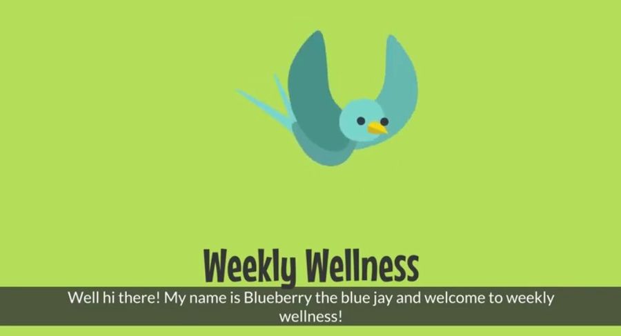 a cartoon bird named blueberry the blue jay with the text: Weekly Wellness