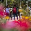 Students walking on campus