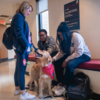 MSW Dog Therapy