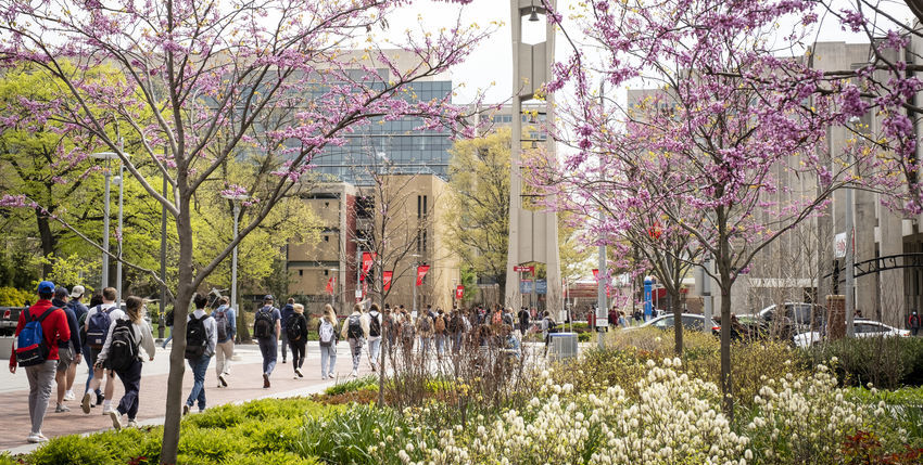 temple's campus in the spring