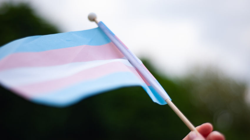a hand holding a transgender pride flag