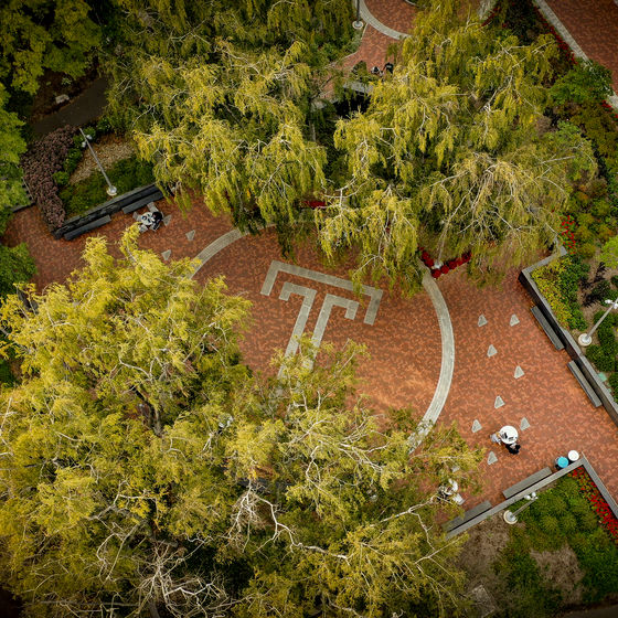 an aerial view of Founders Garden on temples main campus