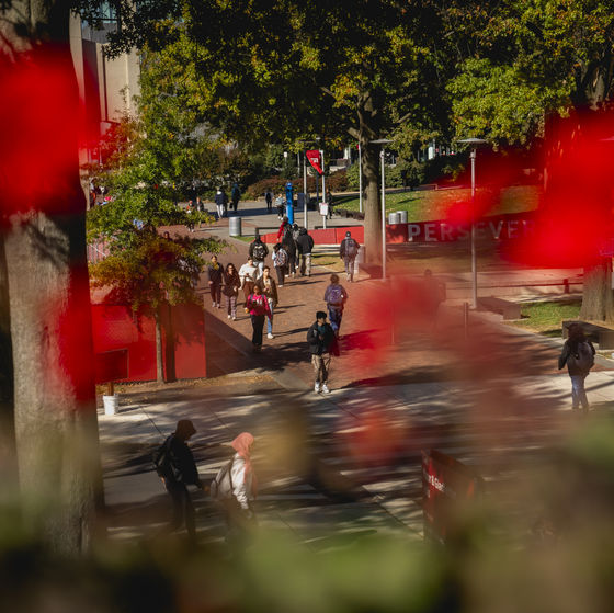 Students walk along Temple University's Main Campus