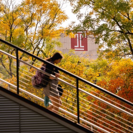 a girl descending stairs on temples campus, with yellow-colored fall foliage in the background next to a Temple T on a building.