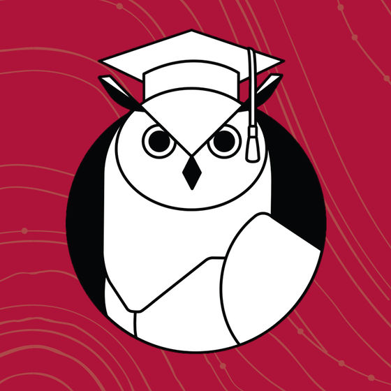 illustration of an owl in graduation cap