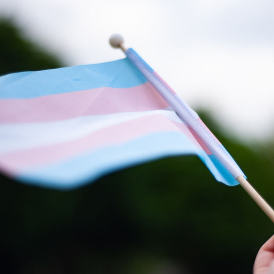 a hand holding a transgender pride flag